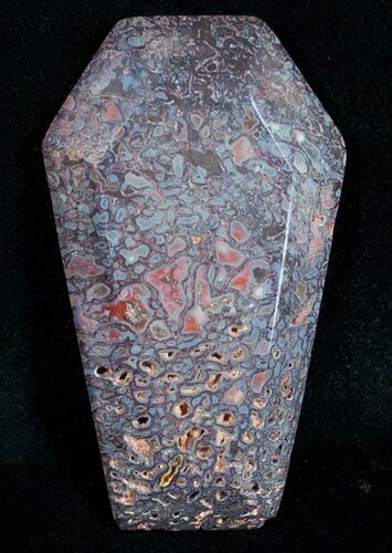 Coffin Shaped Agatized Dinosaur Bone Cab #9373